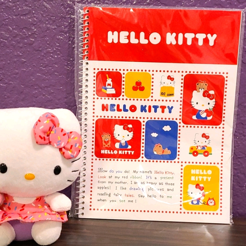 hello kitty notebook